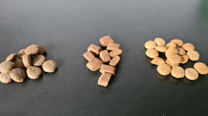Optisch unterscheiden sich die drei Hundefutter stark voneinander.