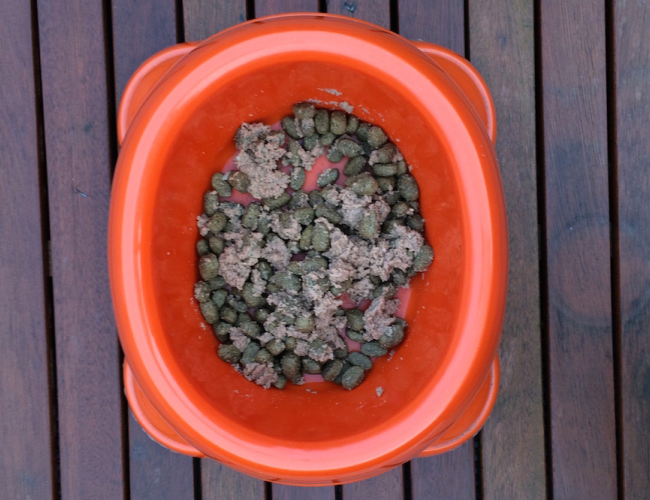 Bild 5: Trockenfutter mit Nassfutter gemischt.