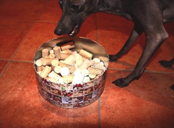 Bild 6: Beute erfolgreich ergattert