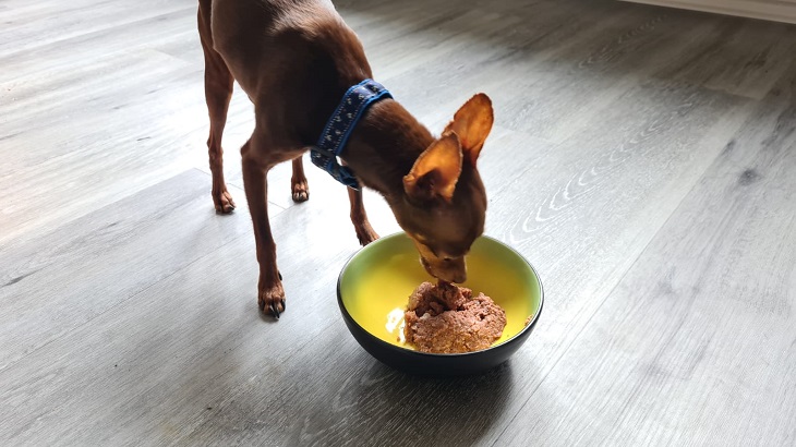 Luke nimmt Real Nature Wilderness offensichtlich an.