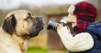 Hundefotografie: Erinnerungsfotos mit Bello
