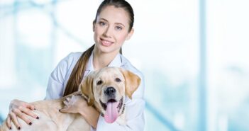 Hoffentlich kann meine Tierärztin meinen Hund von den Chlamydien befreien