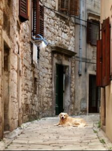 Hundestrände und eine autofreie Altstadt ermöglichen einen frein Auslauf für die Fellnase. (#2)