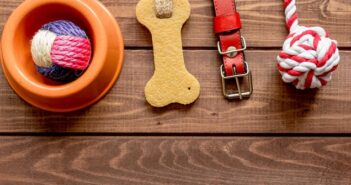 Pets Premium: der Online-Shop des Premium-Tierfutter-Anbieters im Test