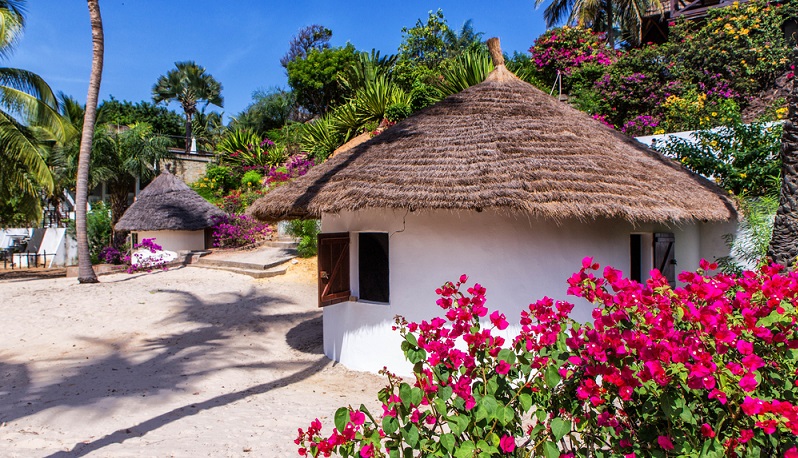 Gerade Camping in einem Bungalow in Frankreich kann für Hund und Hundebesitzer eine wirklich tolle Sache sein – ob in der Provence oder am Strand. (#01)