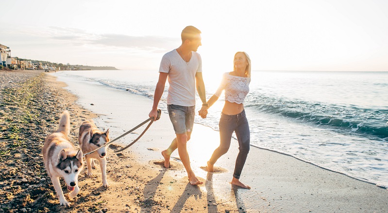 Hat man sich für eine Ort entschieden, geht es nun noch darum, die richtige Unterkunft auf dem Campingplatz zu finden. An erster Stelle steht in diesem Fall die Größe: Der Bungalow muss natürlich groß genug sein, damit alle Personen und auch der Hund Platz hat. (#04)