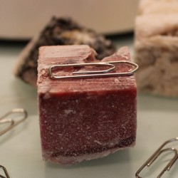 Die Größe der Portionswürfel des Graf Barf Vollwertmenü Plus Rind erkennt man hier im Vergleich mit den Büroklammern ( Foto: Vivian Hinz )