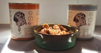 Welpen richtig füttern: Benötigen Junghunde spezielle Welpennahrung?