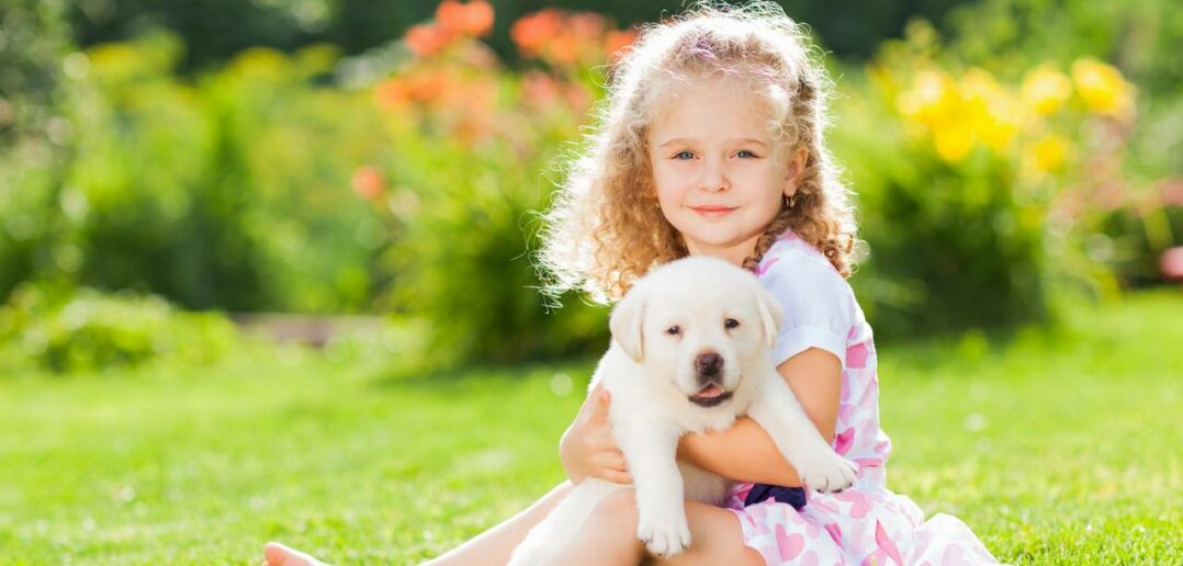 Tierkrankenversicherung Petplan hat entdeckt: „Luna“ ist Deutschlands beliebtester Hundename im Jahr 2022 (Foto: Adobe Stock-Natalia Chircova)