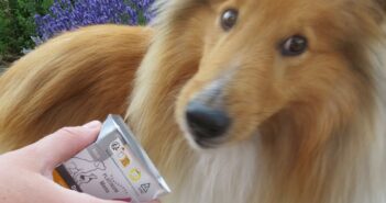 Cap schaut erstaunt (Foto: schwarzer.de)