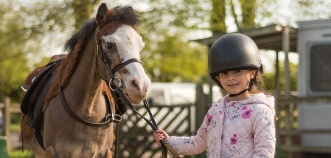 Der Traum vom eigenen Pferd: Wichtige Überlegungen vor der Anschaffung (Foto: AdobeStock - 144896244 iredding01)