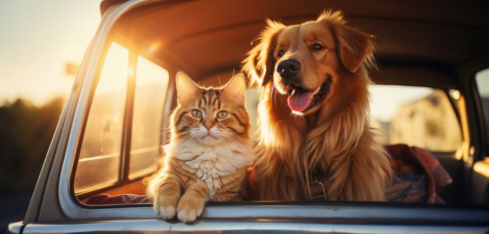 Tiertransport im Auto: GTÜ gibt Sicherheitstipps für (Foto: AdobeStock - 621546328 Natee Meepian)