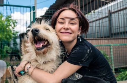 Ressourcenknappheit im Tierheim Nürnberg: Platz, Finanzen, (Foto: AdobeStock - andyborodaty 512789201)