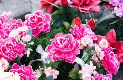 Gebrauchshunde-Sport: Sicherheit für Mensch und Tier in (Foto: AdobeStock - PhotoRK 540983978)