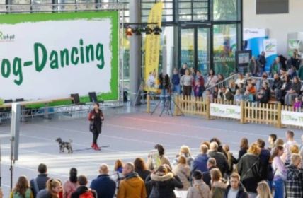 Rassehunde-Ausstellung in Karlsruhe: 5.000 Hunde aus 250 (Foto: Karlsruher Messe- und Kongress-GmbH (KMK))